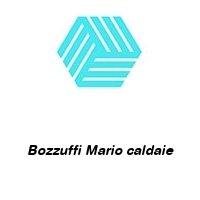 Logo Bozzuffi Mario caldaie