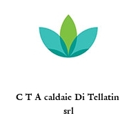 Logo C T A caldaie Di Tellatin  srl