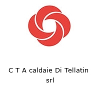 Logo C T A caldaie Di Tellatin  srl