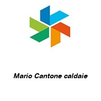 Logo Mario Cantone caldaie