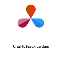 Chaffoteaux caldaie