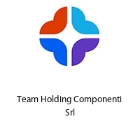 Logo Team Holding Componenti Srl
