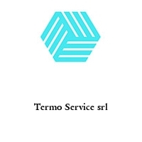 Logo Termo Service srl