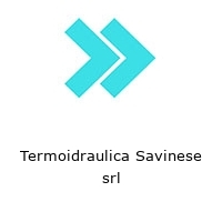 Logo Termoidraulica Savinese srl