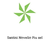 Logo Santini Novelio Piu sel