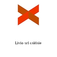 Livio srl caldaie