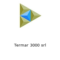 Logo Termar 3000 srl