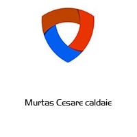 Logo Murtas Cesare caldaie