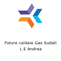 Future caldaie Gas Sudati L E Andrea