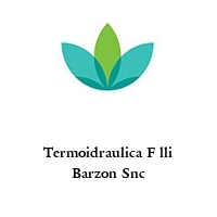 Logo Termoidraulica F lli Barzon Snc