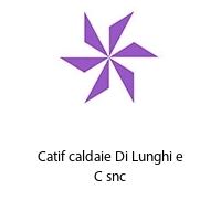 Logo Catif caldaie Di Lunghi e C snc