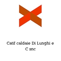 Catif caldaie Di Lunghi e C snc