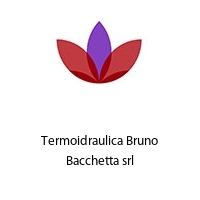 Logo Termoidraulica Bruno Bacchetta srl