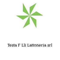 Testa F Lli Lattoneria srl