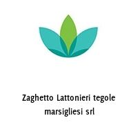 Logo Zaghetto Lattonieri tegole marsigliesi srl