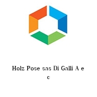 Logo Holz Pose sas Di Galli A e c