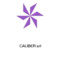 Logo CALIBER srl