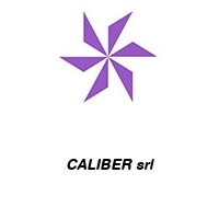 CALIBER srl