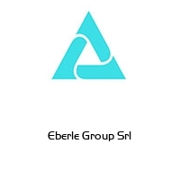 Eberle Group Srl