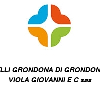Logo FLLI GRONDONA DI GRONDONA VIOLA GIOVANNI E C sas