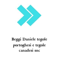 Logo Beggi Daniele tegole portoghesi e tegole canadesi snc
