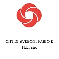 Logo CIIT DI AVEBONI FABIO E FLLI snc