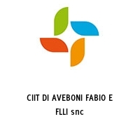 CIIT DI AVEBONI FABIO E FLLI snc