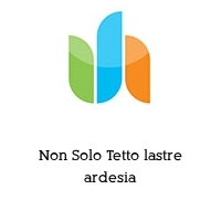 Logo Non Solo Tetto lastre ardesia