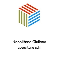 Logo Napolitano Giuliano coperture edili