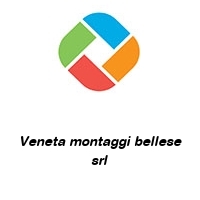 Logo Veneta montaggi bellese srl