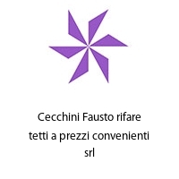 Cecchini Fausto rifare tetti a prezzi convenienti srl