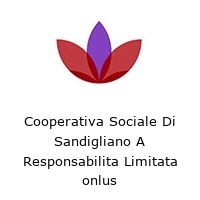 Cooperativa Sociale Di Sandigliano A Responsabilita Limitata onlus