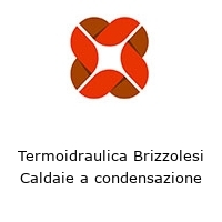 Logo Termoidraulica Brizzolesi Caldaie a condensazione