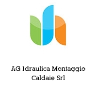 Logo AG Idraulica Montaggio Caldaie Srl