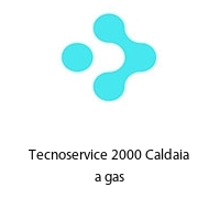 Logo Tecnoservice 2000 Caldaia a gas