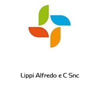 Logo Lippi Alfredo e C Snc