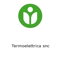 Termoelettrica snc