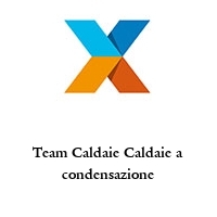 Logo Team Caldaie Caldaie a condensazione