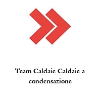 Logo Team Caldaie Caldaie a condensazione