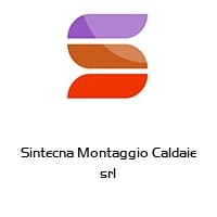 Logo Sintecna Montaggio Caldaie srl