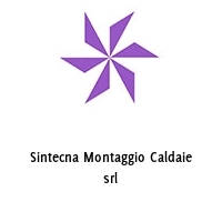 Sintecna Montaggio Caldaie srl