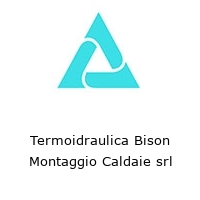 Logo Termoidraulica Bison Montaggio Caldaie srl