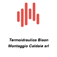 Logo Termoidraulica Bison Montaggio Caldaie srl