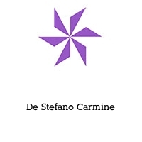 Logo De Stefano Carmine