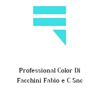 Logo Professional Color Di Facchini Fabio e C Snc