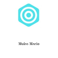 Logo Mulas Mario