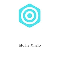 Logo Mulas Mario