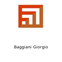 Logo Baggiani Giorgio