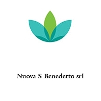 Logo Nuova S Benedetto srl