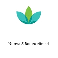 Nuova S Benedetto srl